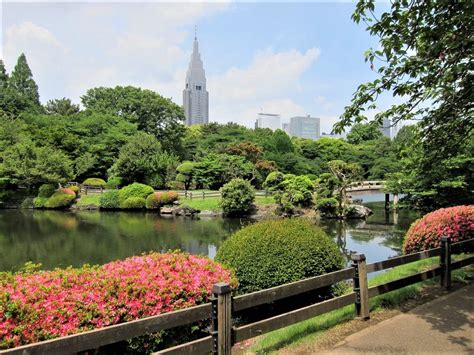 大きい公園 東京 そしてその周辺の不思議な現象