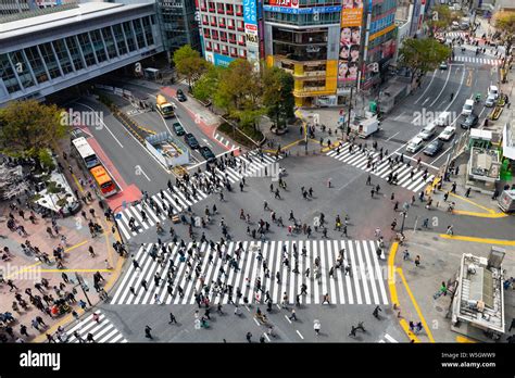 新宿駅から中野駅：都市の鼓動と静寂の交差点